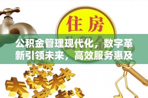 义乌公积金管理现代化，数字革新引领未来，高效服务惠及民生