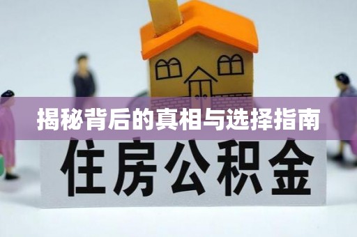 义乌揭秘背后的真相与选择指南