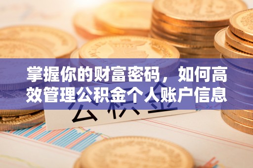 义乌掌握你的财富密码，如何高效管理公积金个人账户信息