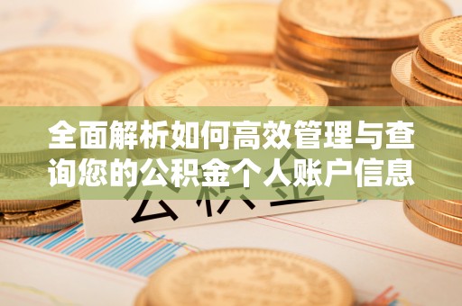义乌全面解析如何高效管理与查询您的公积金个人账户信息