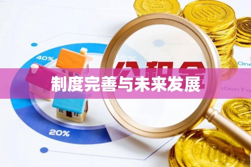 义乌制度完善与未来发展