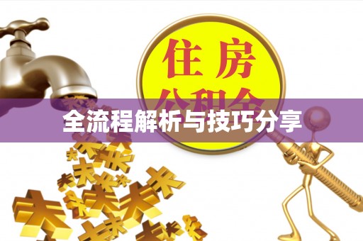 义乌全流程解析与技巧分享