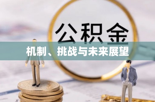 义乌机制、挑战与未来展望