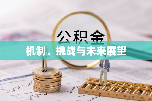 义乌机制、挑战与未来展望